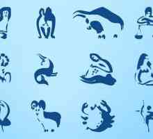 Horoscop: cat de jigniti sunt semnele zodiacului?