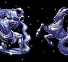 Horoscop compatibilitate. Uniunea Capricorn-femeie + Varsator-om