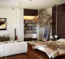 Camera de zi și dormitor într-o singură cameră: design interior, fotografie