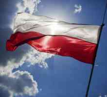 Sărbători naționale și naționale în Polonia