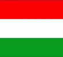 Steagul național al Ungariei: descriere, istorie
