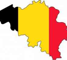 Statul Belgiei: formă de guvernare, descriere, descriere generală