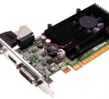 Adaptor grafic NVIDIA GeForce GT-520: caracteristici, relevanța produsului și rezultate în…