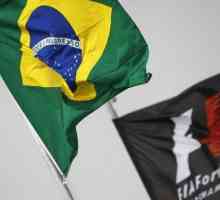 Marele Premiu al Braziliei: istorie, cursele cele mai interesante și fapte interesante