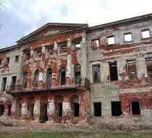 Grebnevo (conac): istorie și fotografie. Fermă abandonată Grebnevo