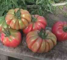 Cos de ciuperci - tomate pentru decorarea mesei