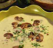 Грибной суп сырный: рецепты для вкусного и питательного обеда