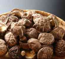 Ciupercile Shiitake: rețete de gătit, beneficii și rău