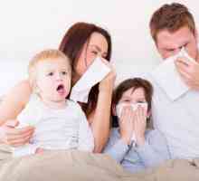 Gripa: tipuri de gripa, simptome, tratament, prevenire