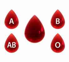 Grupuri de sânge: schema de transfuzie a sângelui, factorul Rh