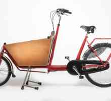 Biciclete de marfă: transport convenabil pentru întreprinderi mici și persoane fizice