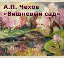 Caracteristica lui Ranevskaya. "Cherry Orchard", AP Cehov