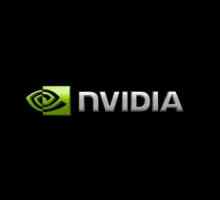 Caracteristicile plăcii grafice NVIDIA GeForce: lista de capacitate