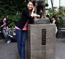 Hachiko: un monument din Tokyo. Monumente ale câinelui Hachiko din Japonia