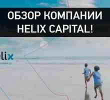 HELIX Capital Investments Ltd ("Helix Capital"): recenzii. Activități principale
