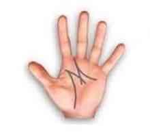 Chiromantiya. Ce înseamnă litera M în palma mâinii tale?