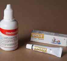 Clorhexidina - ce este? Cum se dizolvă și cum se folosește "Clorhexidina"?
