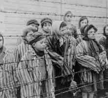 Holocaustul copiilor este cea mai teribilă crimă împotriva umanității