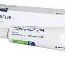 "Chondroitin" (gel): instrucțiuni de utilizare