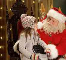 Un bun film de Crăciun "În căutarea lui Santa Lapus": actori