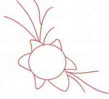 Vrei să știi cum să desenezi o floare frumoasă?