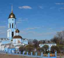 Biserica Iconului Vladimir al Maicii Domnului din Mytishchi: istorie și fotografie