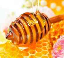 Depozitarea mierei la domiciliu: reguli de bază