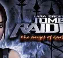Jocul "Lara Croft: Angel of Darkness": pasaj, coduri. Tomb Raider: Îngerul întunericului