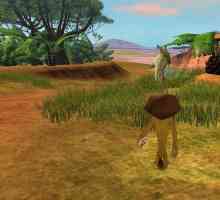 Jocul "Madagascar": pasajul va fi interesant și necomplicat