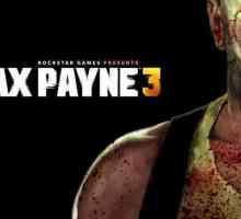 Max Payne 3: prezentare generală, descriere, cerințe de sistem
