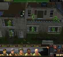 Jocul `Operațiunea Silent Storm`: caracteristici, pasaj, coduri și moduri