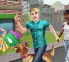 Game Sims Freeplay: trecerea sarcinilor