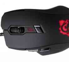 Gaming Mouse Dragon Oklick 725G. Clasicele genului