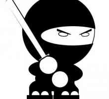 Practica jocurilor - cum să devii un ninja