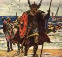 Numele vikingilor din istoria Evului Mediu scandinav