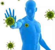 Imunologia este o știință biomedicală. Bazele imunologiei