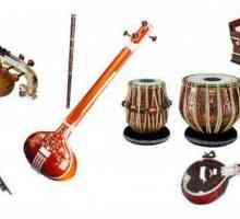 Instrumente muzicale indiene: Corzi, vânt, percuție