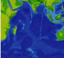 Oceanul Indian: adâncimea oceanului. Partea de jos a Oceanului Indian. Temperatura și relieful…