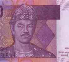 Rupia indoneziană. Istoric și curs valutar