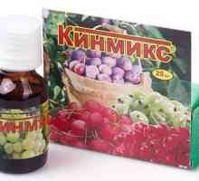 Insecticid "Kinmiks": instrucțiuni de utilizare