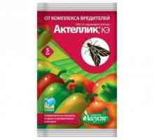 Medicina insectico-acaricidă cu un spectru larg de acțiune "Actellik": instrucțiunea…