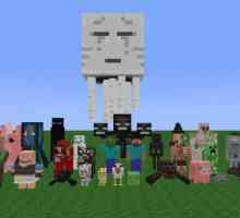Instrucțiuni pentru un jucător: cum să obțineți gratuit o licență pentru "Minecraft"