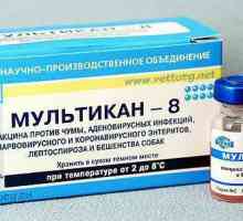 Instrucțiuni de utilizare `Multikan-8`: proprietăți ale medicamentului, mărturii