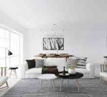 Interiorul apartamentului în stil scandinav: design și caracteristici