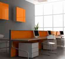 Interiorul biroului: idei de design