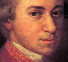 Interesante fapte din viata lui Mozart. Wolfgang Amadeus Mozart: Biografie