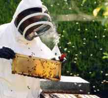 Inventarul aparatelor apicole și apicole. Ce trebuie să știți atunci când alegeți un inventar…