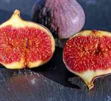 Figs: varietate, descriere, fotografie