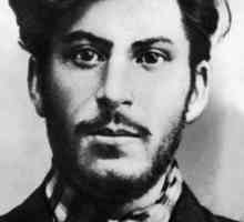 Joseph Stalin: biografie, familie, citate. Naționalitatea lui Stalin