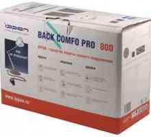 Ippon Back Comfo Pro 800: manual, comparativ cu concurenții și recenzii